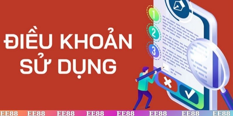Điều khoản & điều kiện và các quyền lợi cũng như nghĩa vụ người dùng